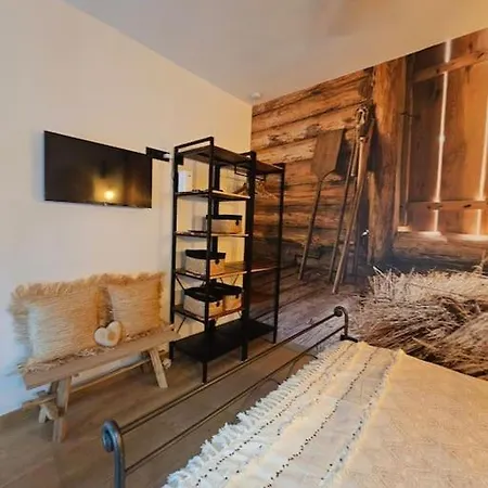 La Grange D'a Cote - Duplex 2 Personnes Houyet